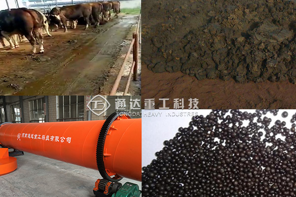 養的牛多牛糞怎么銷路?想做有機肥生產怎么弄? 　