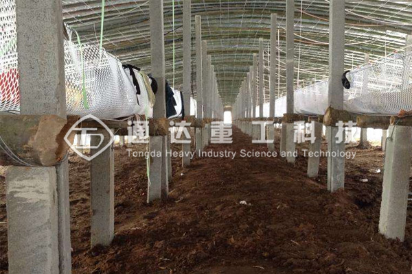 養鴨大棚下面的糞便如何清理?鴨糞有機肥料生產設備怎么配置?