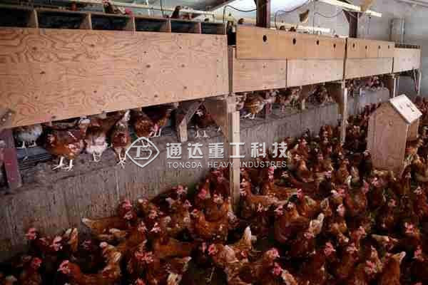  年產萬噸雞糞有機肥生產線多少錢?選對有機肥設備利潤足