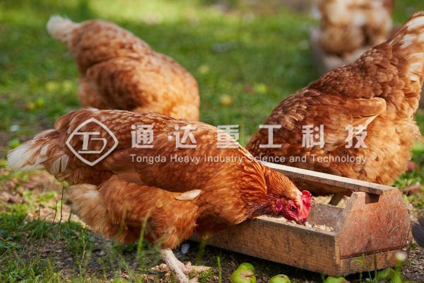 雞糞制肥機械設備廠